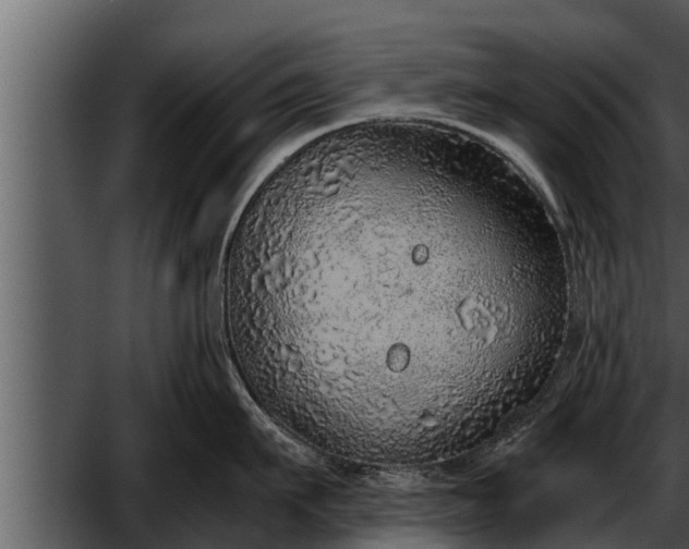 X0000052600911200507160007