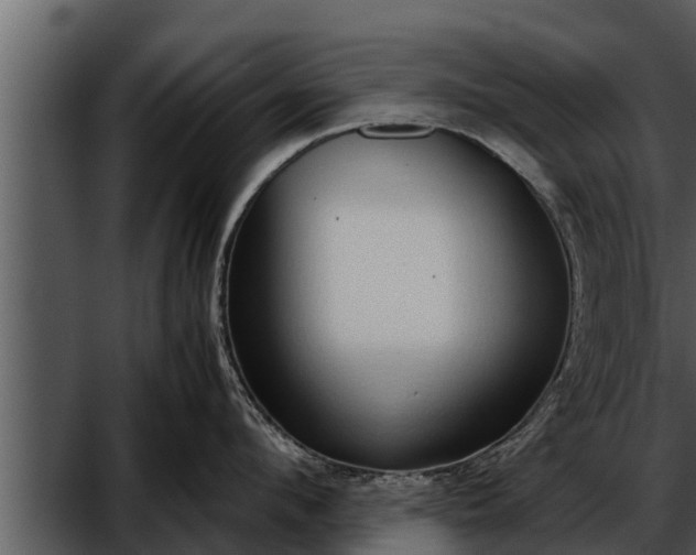 X0000052600912200507160007