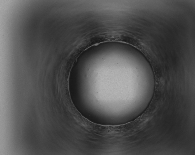 X0000052600913200507160007