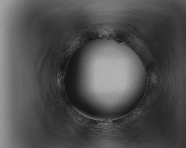 X0000052600914200507160007