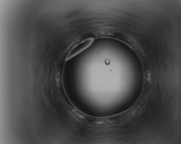 X0000052600915200507160007