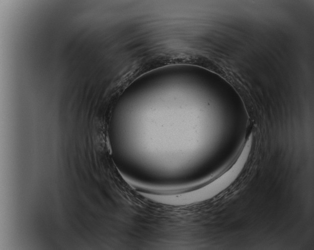 X0000052600916200507160007