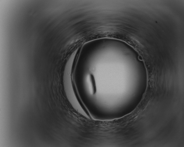 X0000052600917200507160007