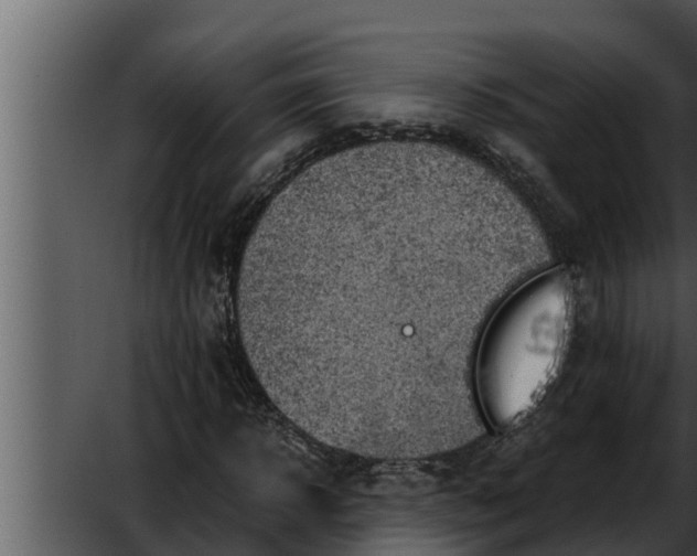 X0000052600918200507160007