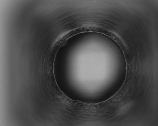 X0000052600919200507160007