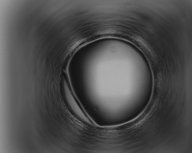 X0000052600921200507160007