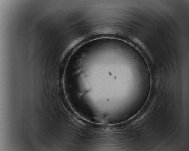 X0000052600922200507160007