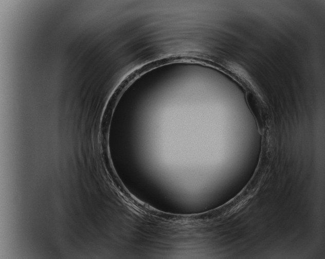 X0000052600924200507160007