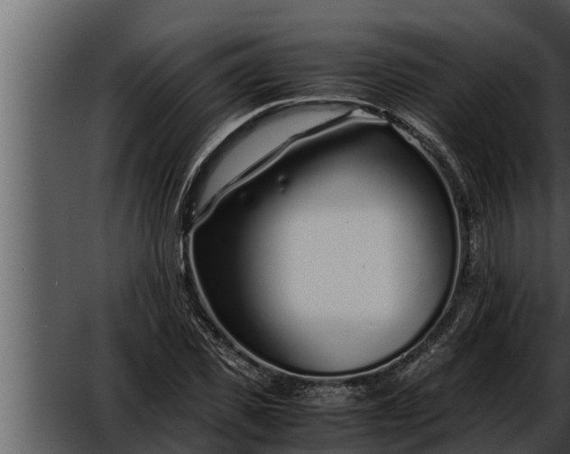 X0000052600925200507160007