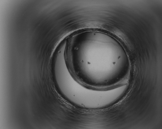 X0000052600926200507160007