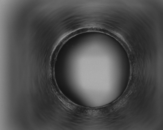 X0000052600927200507160007