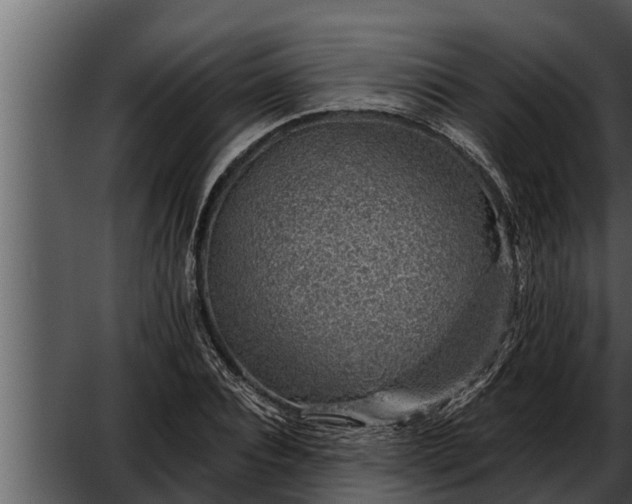 X0000052600928200507160007