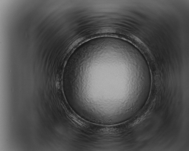 X0000052600929200507160007