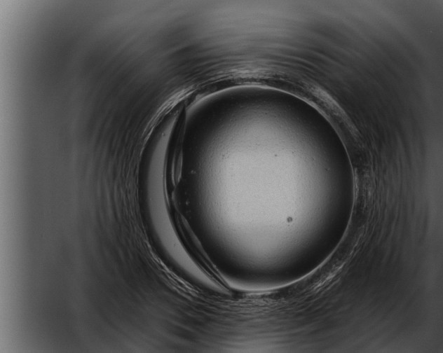 X0000052600930200507160007