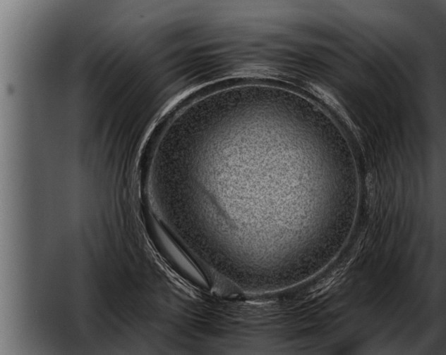 X0000052600931200507160007