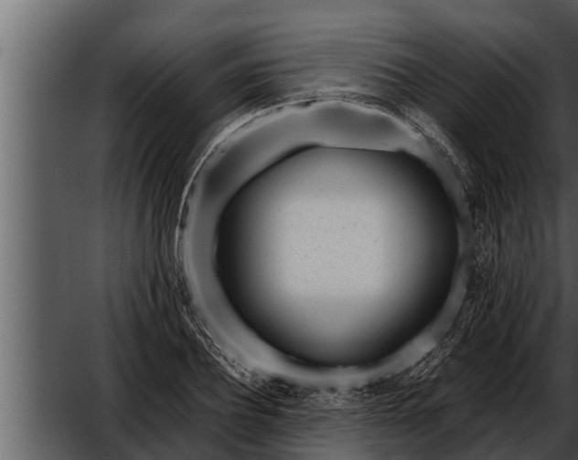 X0000052600932200507160007