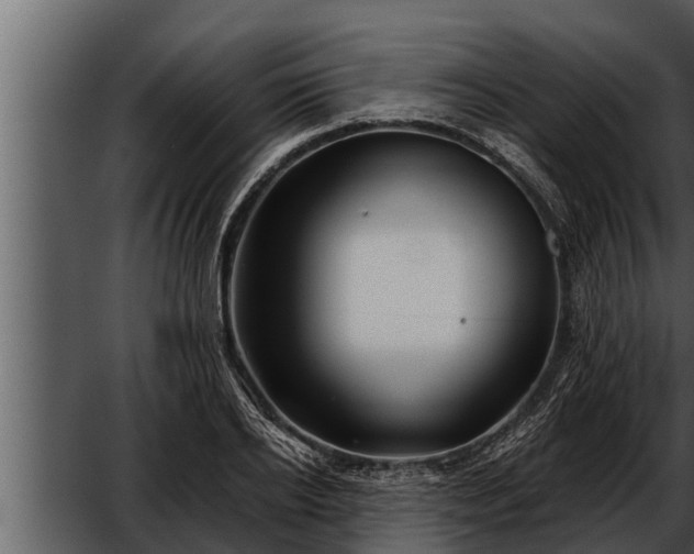 X0000052600934200507160007