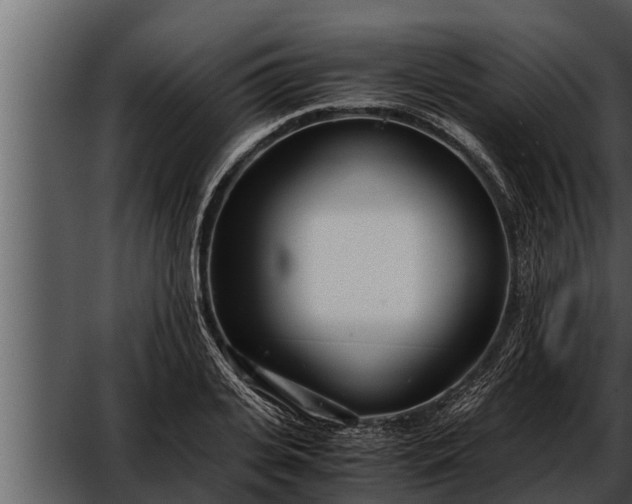 X0000052600935200507160007