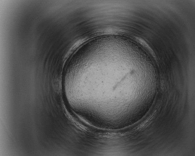 X0000052600938200507160007