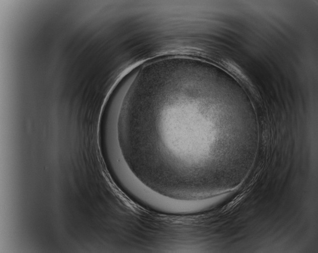 X0000052600940200507160007