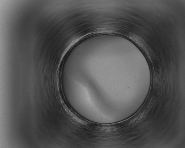 X0000052600941200507160007