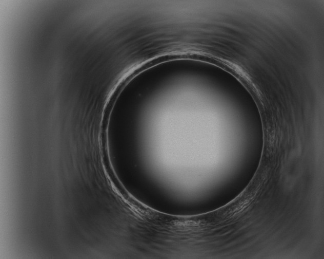 X0000052600943200507160007