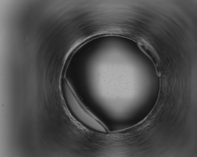 X0000052600944200507160007