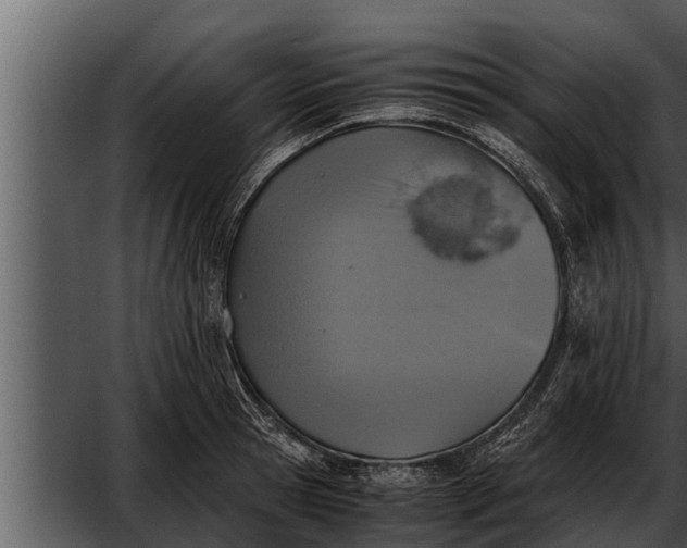 X0000052600945200507160007