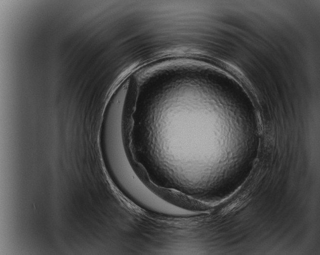 X0000052600946200507160007