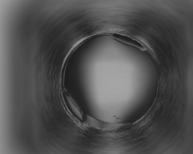 X0000052600948200507160007