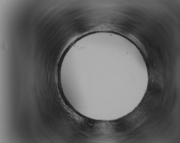 X0000052600950200507160007