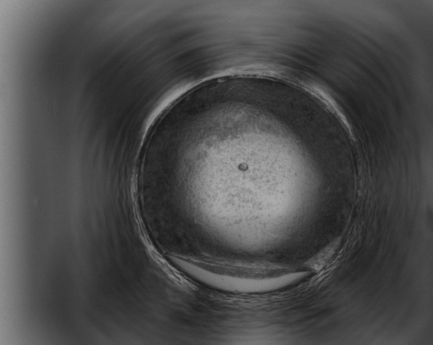 X0000052600952200507160007