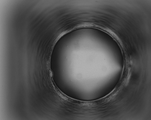 X0000052600953200507160007