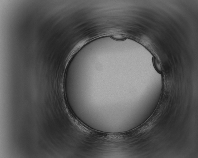 X0000052600954200507160007