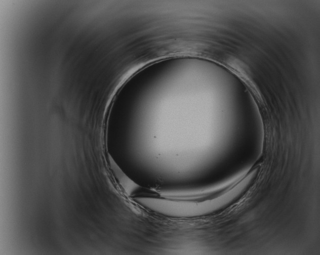 X0000052600956200507160007