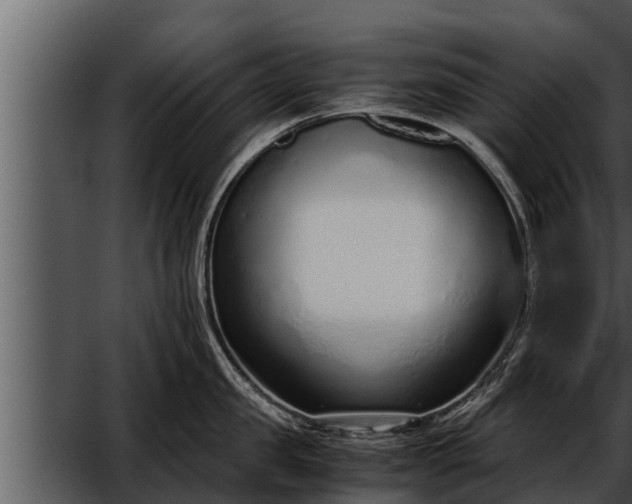 X0000052600957200507160007