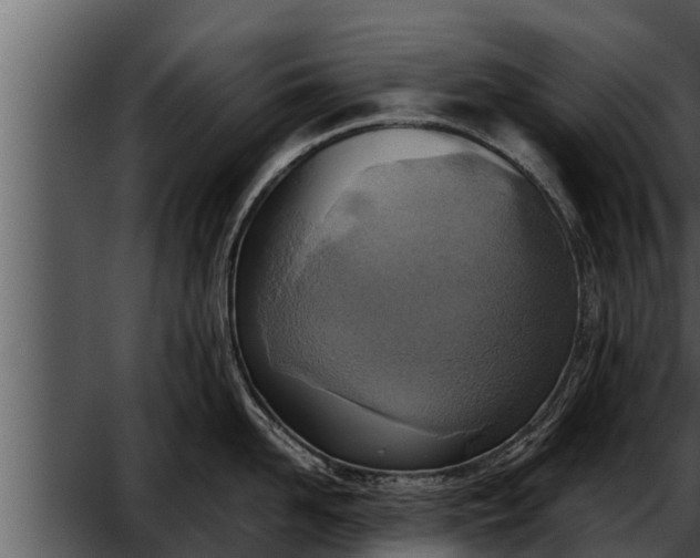 X0000052600958200507160007