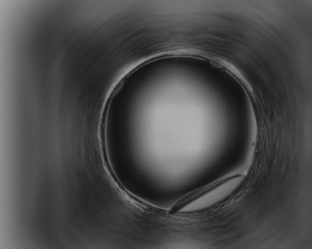 X0000052600959200507160007