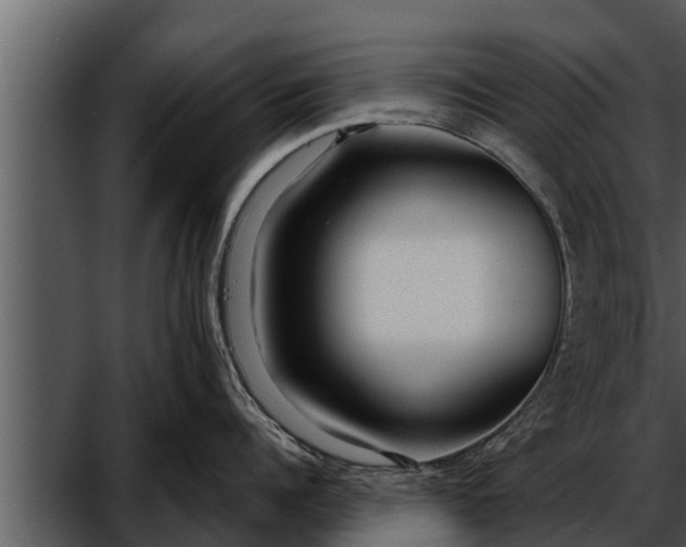 X0000052600960200507160007