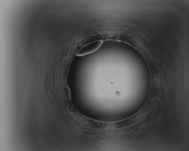 X0000052600961200507160007