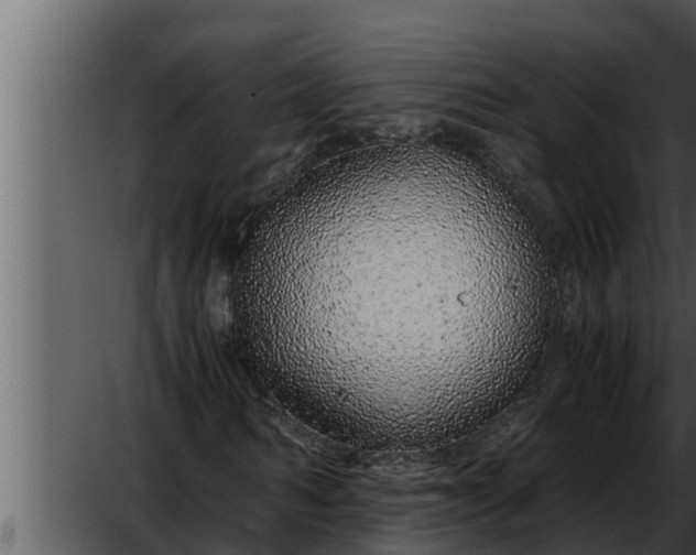 X0000052600962200507160007