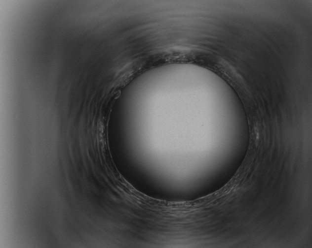 X0000052600964200507160007