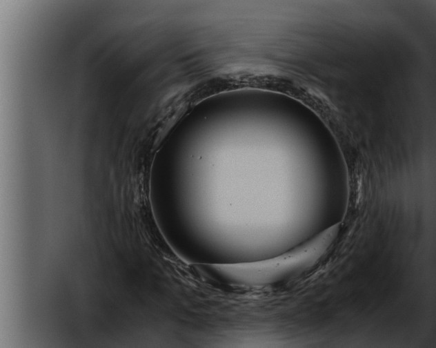 X0000052600965200507160007