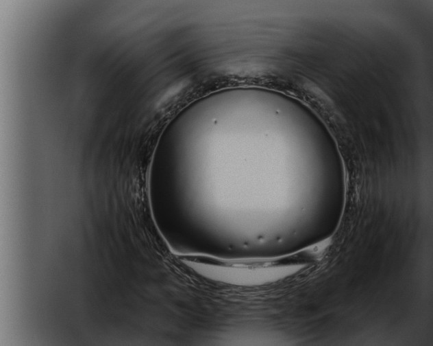 X0000052600966200507160007