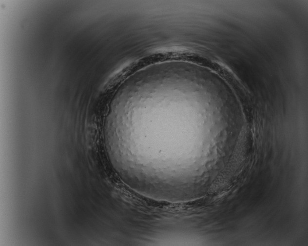 X0000052600967200507160007