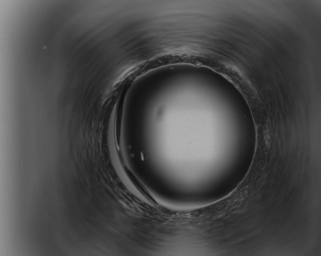 X0000052600968200507160007