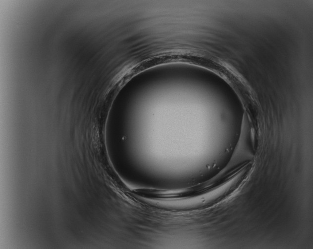 X0000052600969200507160006