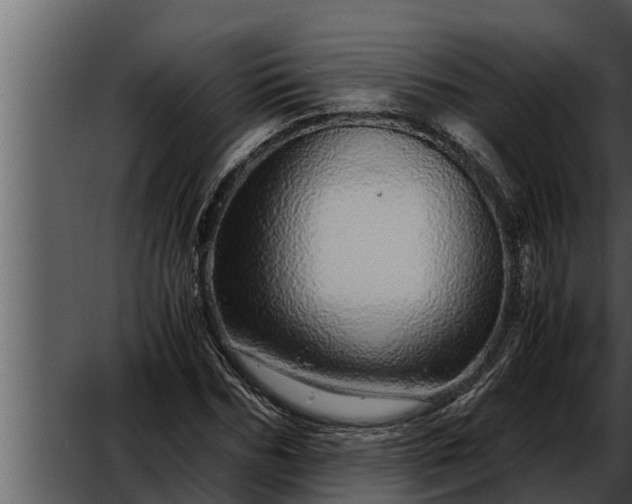 X0000052600970200507160006