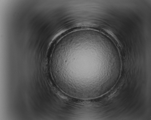 X0000052600971200507160006