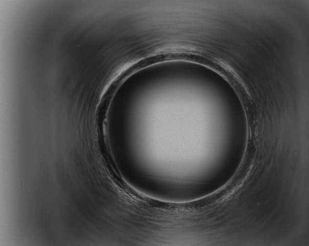 X0000052600973200507160006